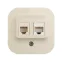 Quteo Розетка телефонная+компьютерная RJ11+RJ45 категория 5 UTP наружная бежевая