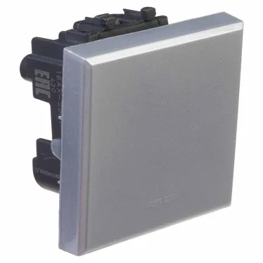 Avanti Выключатель одноклавишный, модульный Закаленная сталь 2 модуля