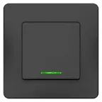 Переключатель одноклавишный BLANCA скрытой установки (cх.6) с подстветкой, 10A, 250В, антрацит