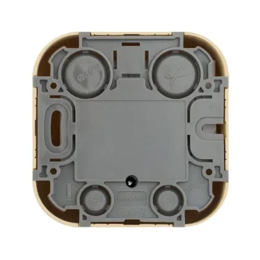 Quteo Розетка телевизионная TV Звезда наружная дерево