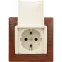 VALENA Розетка с заземлением с крышкой в рамку слоновая кость