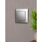 Валенсия лицевая панель выключателя 1-кл. 10А сталь