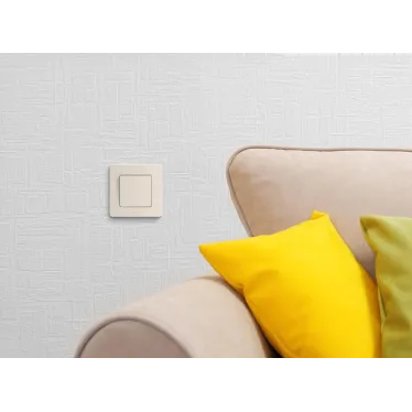 Выключатель одноклавишный - Legrand Inspiria - 10А 250В безвинтовые зажимы - слоновая кость