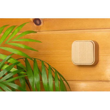 Выключатель одноклавишный, наружный 10А, дерево