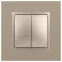 Выключатель двойной, 10АХ-250В, Эра Elegance, шампань,14-1104-04