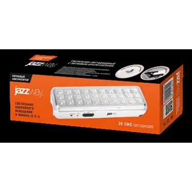 Светильник аккумуляторный светодиодный Accu9-L30