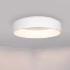 Светильник SP-TOR-RING-SURFACE-R460-33W Warm3000 (WH, 120 deg) | 022135(1) | Arlight