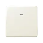 Кнопка клавишная с индикацией, 10А 250В, S27, сл.кость