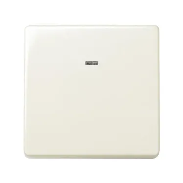 Кнопка клавишная с индикацией, 10А 250В, S27, сл.кость