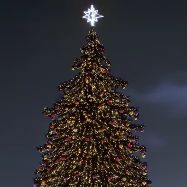 Светодиодная гирлянда ARD-STRING-PRO-10000-BLACK-100LED-FLASH WARM (230V, 7W) | 025825 | Arlight