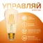 Лампа светодиодная филаментная Smart Home DIM E27 ST64 Golden 7 Вт 1/10/40 | 1290112 | Gauss
