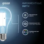 Лампа светодиодная Filament А70 30W 3100lm 4100К Е27 LED 1/10/40 | 102902230 | Gauss