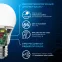 Лампа светодиодная A60 7W 710lm 6500K E27 LED 1/10/50 | 102502307 | Gauss