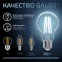 Лампа светодиодная Filament А60 12W 1250lm 4100К Е27 LED 1/10/40 | 102902212 | Gauss