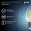 Лампа светодиодная LED Filament Свеча на ветру E14 9W 710lm 4100K | 104801209 | Gauss