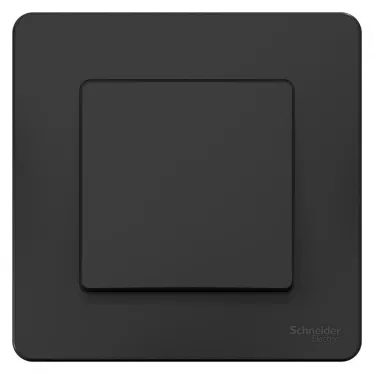 BLANCA скрытой установки одноклавишный переключатель (cх.6), 10A, 250B, антрацит