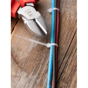 Хомут 100х2.5мм нейлон (100шт)