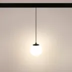 Светильник MAG-ORIENT-SFERO-HANG-R150-10W Warm3000 (BK, 300 deg, 48V) (Arlight, IP20 Металл, 5 лет) | 036049 | Arlight