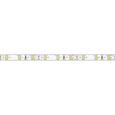 Лента светодиодная LS604/ 60SMD(2835)/м 4.8Вт/м 12V IP65 5000*8*3.8мм красный | 27676 | FERON
