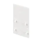 Заглушка MAG-ORIENT-CAP-2652 (WH) (Arlight, IP20 Пластик, 3 года) | 035811 | Arlight