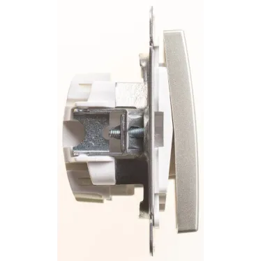 Выключатель одноклавишный, двухполюсный, 10АХ, механизм, шампань