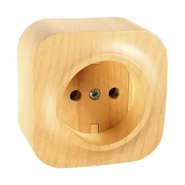Quteo Розетка без заземления без шторок наружная дерево