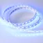 Лента LED RT 2-5000 24V RGBW-One Warm 2x (5060, 300 LED, LUX) (ARL, 19.2 Вт/м, IP20)