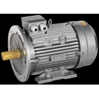 Электродвигатель трехфазный АИС 250M8 660В 30кВт 750об/мин 2081 DRIVE