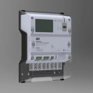TORESCO Счетчик электрической энерги TE301 1/1-5(100)-NRLC-ORS2FPG