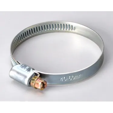 Хомут червячный PL-9 (190-210)/W1