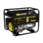 Генератор бензиновый DY8000L