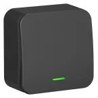 Переключатель одноклавишный наружный BLАNCА (cх.6) с подстветкой, с изолирующей пластиной, 10А, 250В, антрац