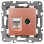 Розетка комбинированная RJ45+TV, Эра12, медь, 12-3110-14