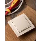 Кнопка нажимная СП Минск 10А бежевая