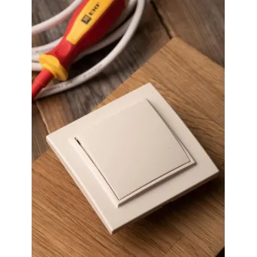 Кнопка нажимная СП Минск 10А бежевая