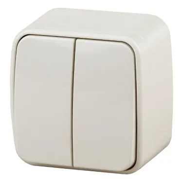 Выключатель двойной, 10A-250В, ОУ, Polo, сл.кость,3-104-02