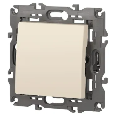 Выключатель, 10АХ-250В, Эра Elegance, сл.кость,14-1101-02