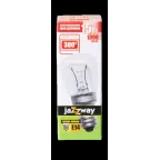 Лампа накаливания специальная Т22 15Вт Е14 220В 300C для духовок