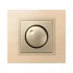 Накладка на 75311-, 75313-, 75314-, 75319-39, S82,82N, шампань