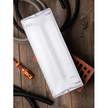 Светильник аварийного освещения SAFEWAY-40 LED EKF Proxima