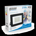 Прожектор светодиодный ДО 30 Вт 2700 лм 6500К AC 220В IP65 126х136х30мм Elementary G2 Gauss