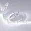 Лента RT-A120-8мм 24V White6000 (14.4 W/m, IP20, 2835, 5м) (Открытый)