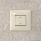 Avanti Инвертор одноклавишный в стену Ванильная дымка (Переключатель сх.7)