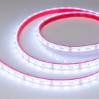 Лента герметичная RTW-PFS-B60-13мм 12V RGB (14.4 W/m, IP68, 5060, 5м) (-)