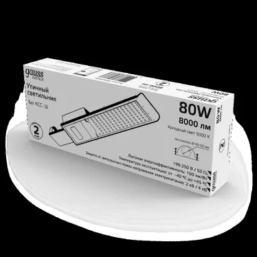 Светильник уличный консольный ДКУ 80 Вт 8000 лм 5000К AC 220В IP65 420х160х57мм широкая КСС Ш Avenue Gauss