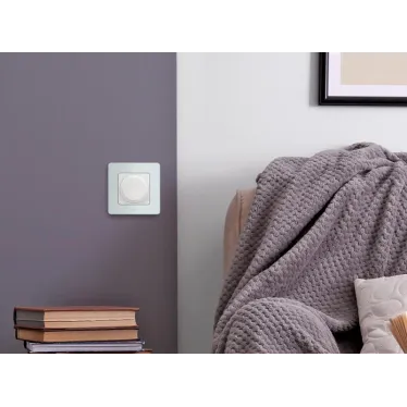 Рамка 1 пост INSPIRIA мятный