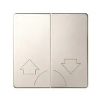 Клавиши (2 шт) для 75396-39, S82,82N, шампань