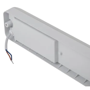 Светильник ЖКХ светодиодный SPB-103-0-40K-012 12Вт 4000K 1080Лм IP65 350х75х50