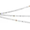 Лента LED RT 2-5000 24V White6000 0.5x (3528, 150 LED, LUX) (ARL, 2.9 Вт/м, IP20)