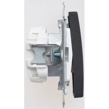 W59 Переключатель двухклавишный, 10АХ, механизм, черный бархат